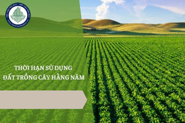 Năm 2025, đất trồng cây hằng năm có thời hạn sử dụng bao lâu? Làm thế nào để gia hạn thời hạn sử dụng đất trồng cây hằng năm?