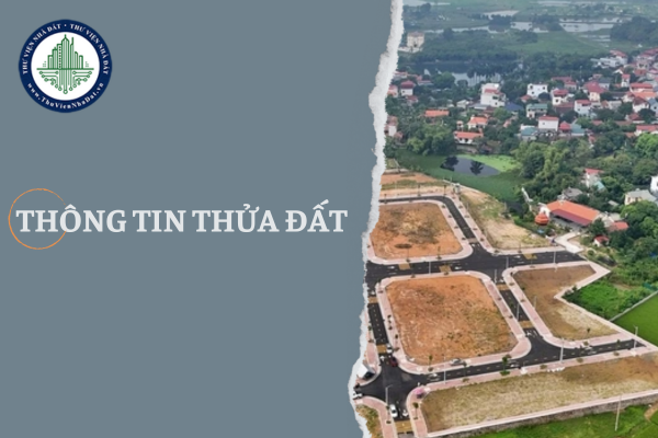 Mẫu đơn xin cung cấp thông tin thửa đất mới nhất 2025