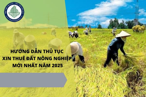 Hướng dẫn thủ tục xin thuê đất nông nghiệp không qua đấu giá mới nhất năm 2025