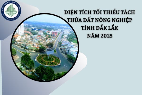 Chi tiết điều kiện và diện tích tối thiểu tách thửa đất nông nghiệp tại tỉnh Đắk Lắk năm 2025