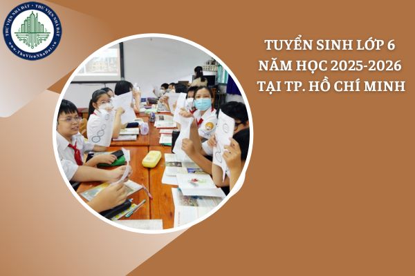 Tiêu chí tuyển sinh lớp 6 tại Thành phố Hồ Chí Minh năm học 2025 - 2026 mới nhất