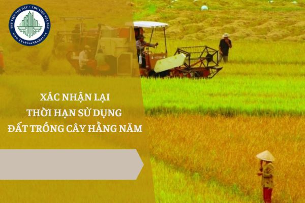 Hướng dẫn thủ tục xác nhận lại thời hạn sử dụng đất trồng cây hằng năm mới nhất năm 2025