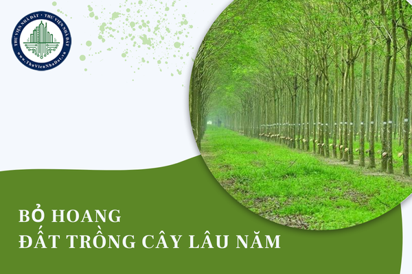 Đất trồng cây lâu năm bị bỏ hoang 18 tháng liên tục có bị thu hồi?