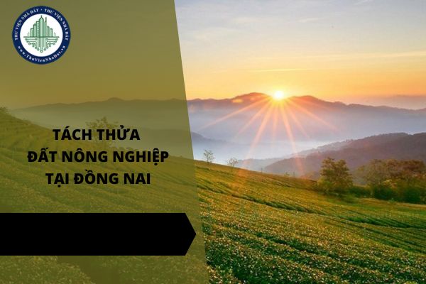 Chi tiết điều kiện và diện tích tối thiểu tách thửa đất nông nghiệp tại Đồng Nai năm 2025