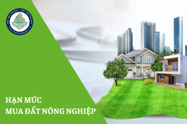 Hạn mức mua đất nông nghiệp của cá nhân tại Thành phố Hồ Chí Minh là bao nhiêu?