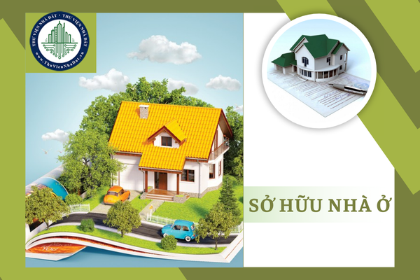 Tổ chức nước ngoài có được sở hữu nhà ở tại Việt Nam không?