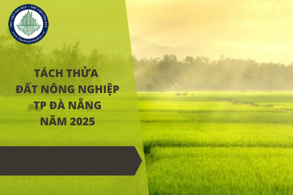 Diện tích tối thiểu tách thửa đất nông nghiệp trên địa bàn Thành phố Đà Nẵng năm 2025