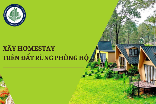 Đất rừng phòng hộ có được chuyển nhượng cho người khác xây Homestay để kinh doanh không?