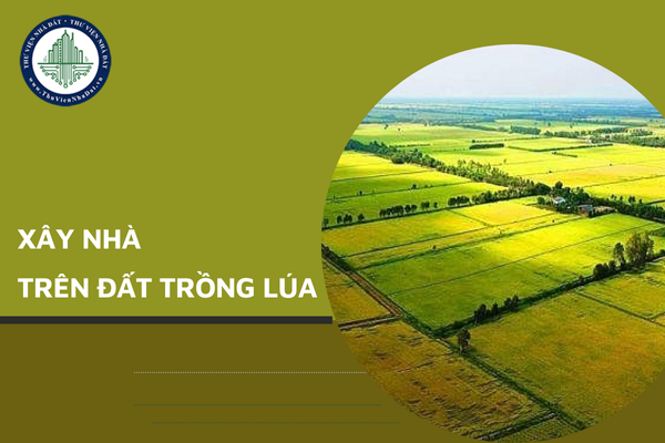 Xây nhà trên đất trồng lúa có bị phá dỡ không?