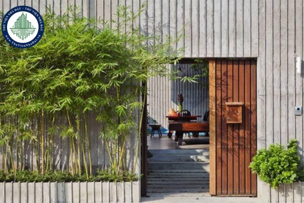10 gợi ý trồng cây cảnh trước nhà giúp không gian xanh và phong thủy tốt