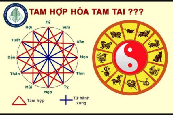 Tam hợp là gì? Đặc trưng nhóm tam hợp 12 con giáp?