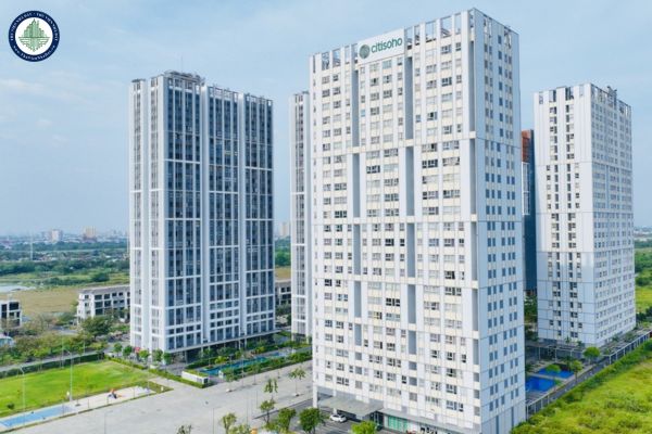 Cập nhật bảng giá Citisoho mới nhất 2025: Thông tin cần biết