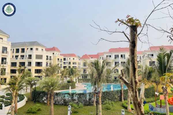 Chuyển nhượng tại Vinhomes Ocean Park 1 Gia Lâm Hà Nội