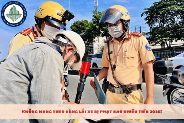 Không mang theo bằng lái xe bị phạt bao nhiêu tiền 2025?