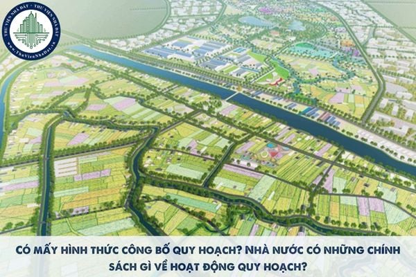 Có mấy hình thức công bố quy hoạch? Nhà nước có những chính sách gì về hoạt động quy hoạch?