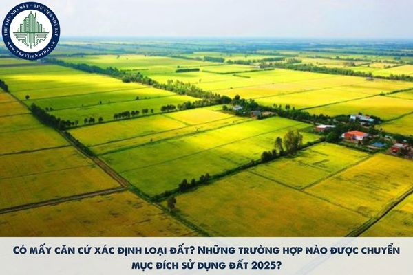 Có mấy căn cứ xác định loại đất? Những trường hợp nào được chuyển mục đích sử dụng đất 2025?
