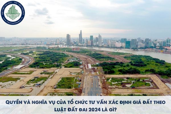 Quyền và nghĩa  của tổ chức tư vấn xác định giá đất theo Luật Đất đai 2024 là gì?