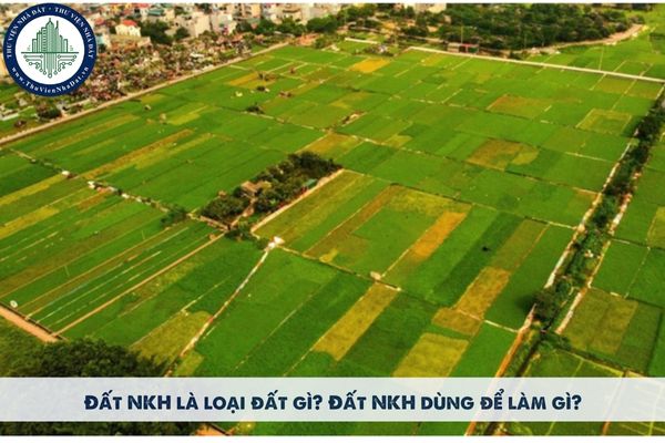 Đất NKH là loại đất gì? Đất NKH dùng để làm gì?