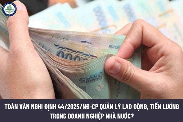 Toàn văn Nghị định 44/2025/NĐ-CP quản lý lao động, tiền lương trong doanh nghiệp Nhà nước? Chính sách tiền lương doanh nghiệp nhà nước ảnh hưởng thế nào đến giá trị bất động sản tại Điện Biên