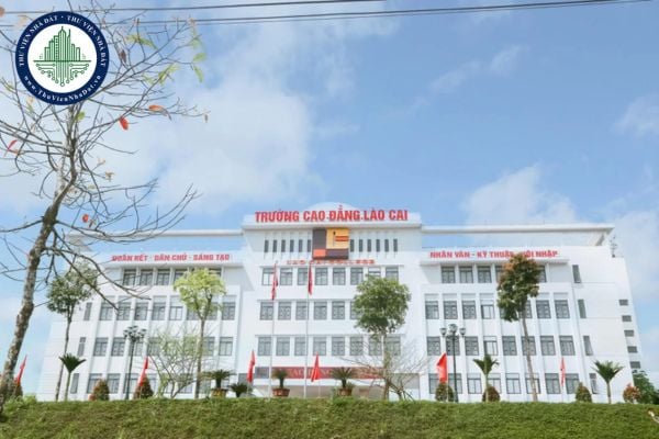 Địa vị pháp lý của trường cao đẳng như thế nào?