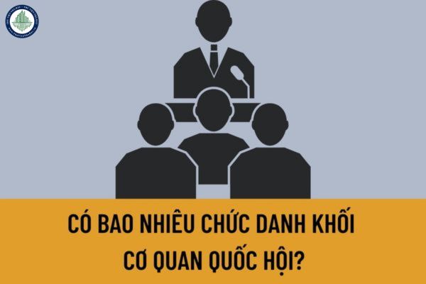 Có bao nhiêu chức danh khối cơ quan Quốc hội? Tiêu chuẩn trở thành các chứng danh đó là gì?