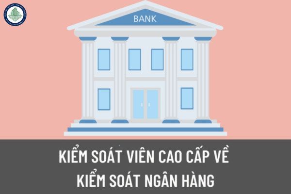 Kiểm soát viên cao cấp về kiểm soát ngân hàng phải làm các công việc nào? Quyền hạn của kiểm soát viên cao cấp về kiểm soát ngân hàng là gì?