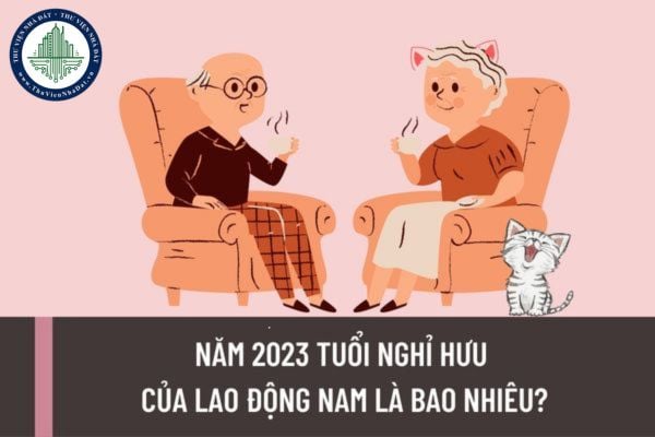 Năm 2023 tuổi nghỉ hưu của lao động nam là bao nhiêu? Thời điểm hưởng chế độ hưu trí là khi nào?