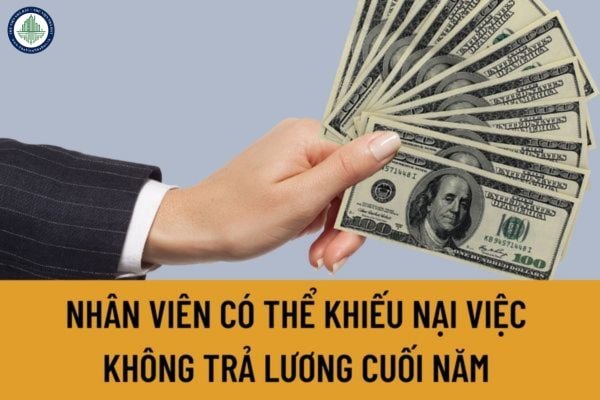 Nhân viên có thể khiếu nại việc không trả lương cuối năm của công ty tại đâu?Nhân viên có thể khởi kiện công ty vì không trả lương cuối năm không?