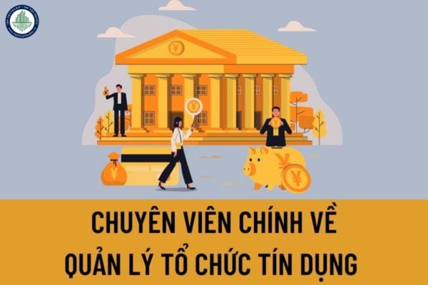 Quyền hạn của chuyên viên chính về quản lý tổ chức tín dụng được quy định như thế nào?Chuyên viên chính về quản lý tổ chức tín dụng cần phải làm những công việc nào?