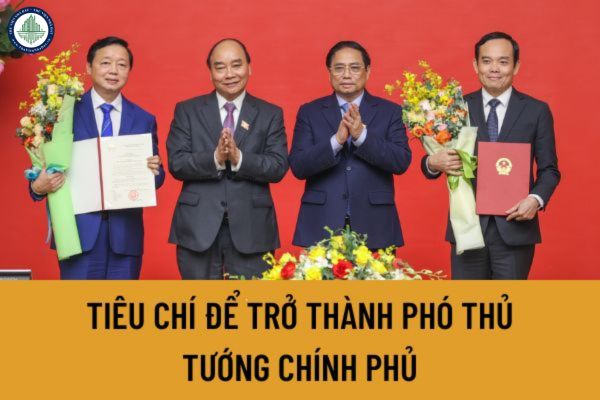 Tiêu chí để trở thành phó Thủ tướng Chính phủ là gì? Tiêu chuẩn chung đề trở thành phó thủ tướng Chính phủ là gì?
