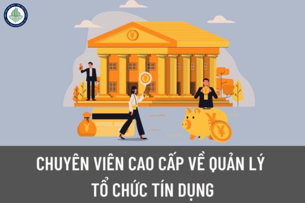 Để trở thành chuyên viên cao cấp về quản lý tổ chức tín dụng cần phải có yêu cầu về trình độ như thế nào?