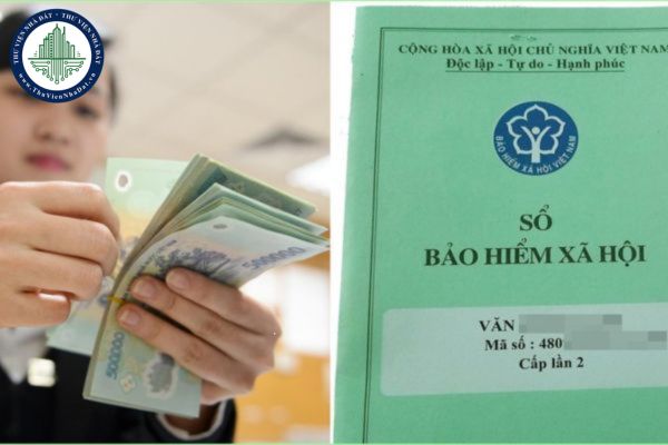 Người được bảo hiểm được quyền yêu cầu rút trước bảo hiểm hưu trí trong các trường hợp nào?