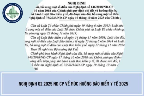 Nghị định 02 2025 nd cp về mức hưởng bảo hiểm y tế 2025? Tải file nghị định 02 2025 nd cp pdf ở đâu?