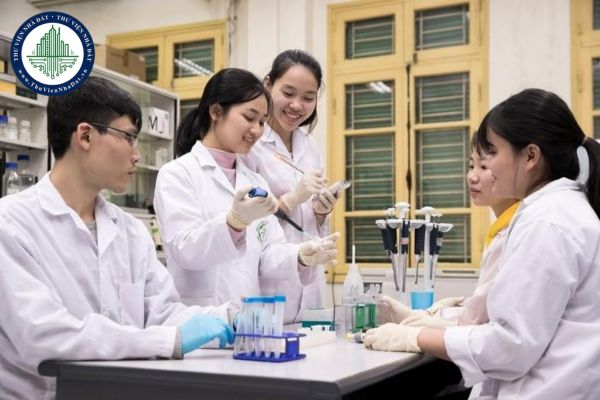 Hội đồng trường là gì? Chủ tịch hội đồng trường đại học công lập có trách nhiệm và quyền hạn như thế nào?