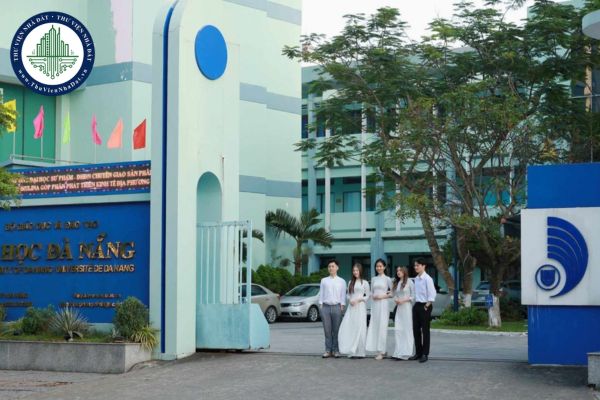 Đại học vùng là gì? Cơ cấu tổ chức của đại học vùng như thế nào?