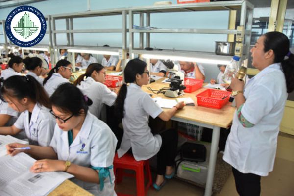 Trợ giảng trường đại học công lập có mã số mấy? Trợ giảng trường đại học công lập có nhiệm vụ gì?