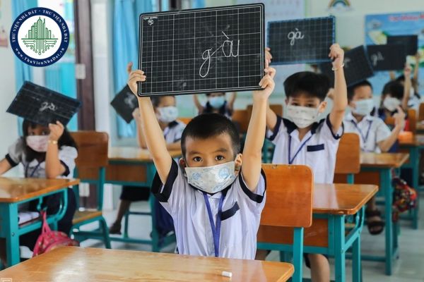 Trường trung học cơ sở công lập là của tư nhân hay nhà nước thành lập?
