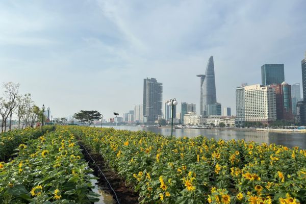 Đồ án quy hoạch phân khu số 1 tại Thành phố Thủ Đức chi tiết 