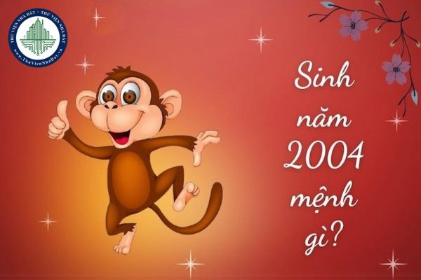 Người sinh năm 2004 Mệnh Gì? Những vấn đề phong thủy quan trọng cho người sinh năm 2004?