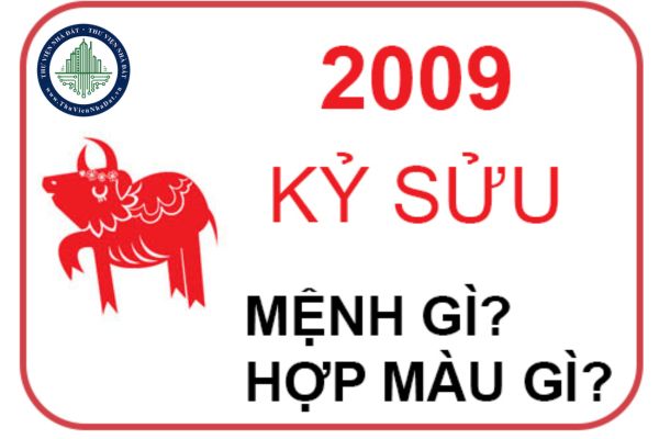 Người Sinh Năm 2009 Mệnh Gì?