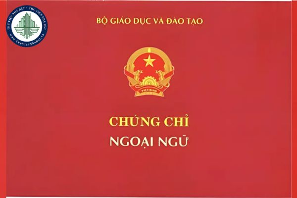 Cán bộ sử dụng chứng chỉ ngoại ngữ giả có bị cách chức không?