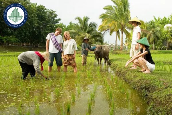 Du lịch cộng đồng được Nhà nước áp dụng những biện pháp phát triển du lịch nào?