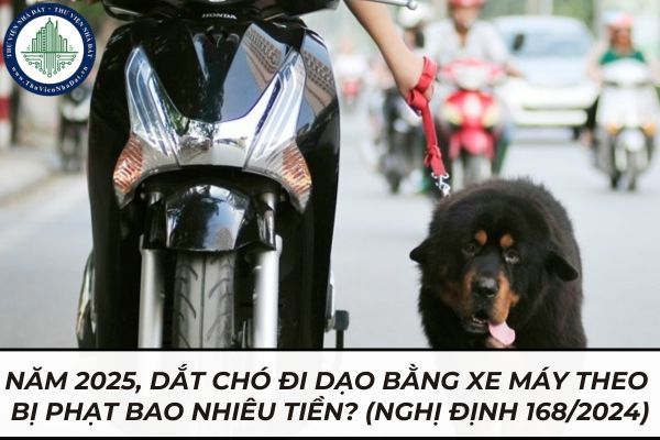 thuviennhadat.vn
