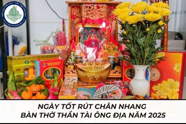 thuviennhadat.vn