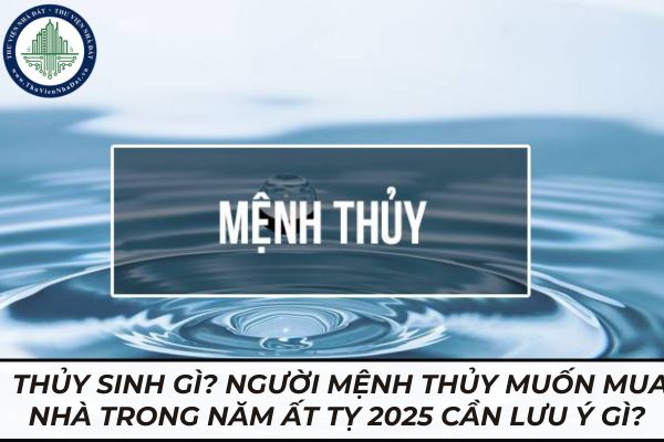 thuviennhadat.vn
