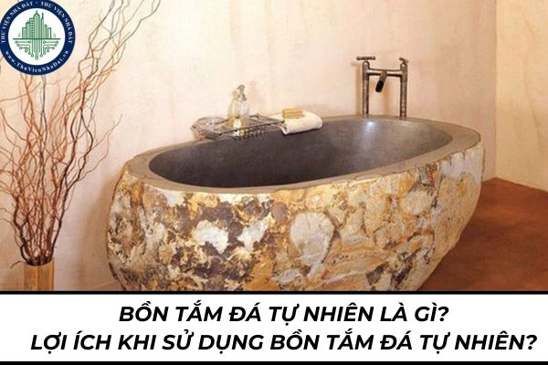 thuviennhadat.vn
