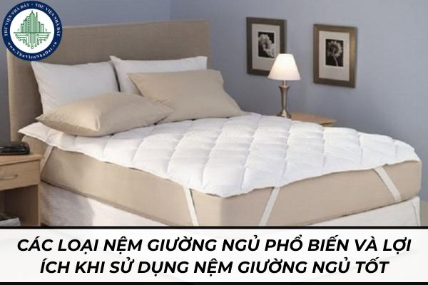 thuviennhadat.vn