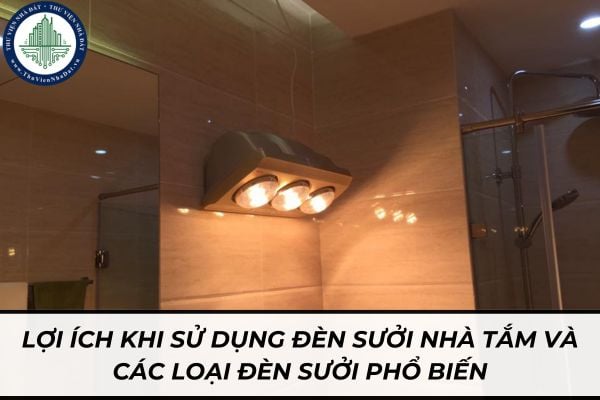 thuviennhadat.vn