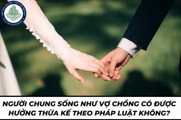 thuviennhadat.vn