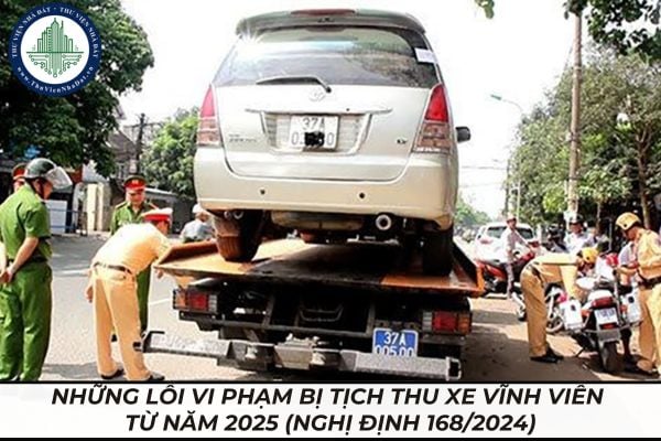 thuviennhadat.vn